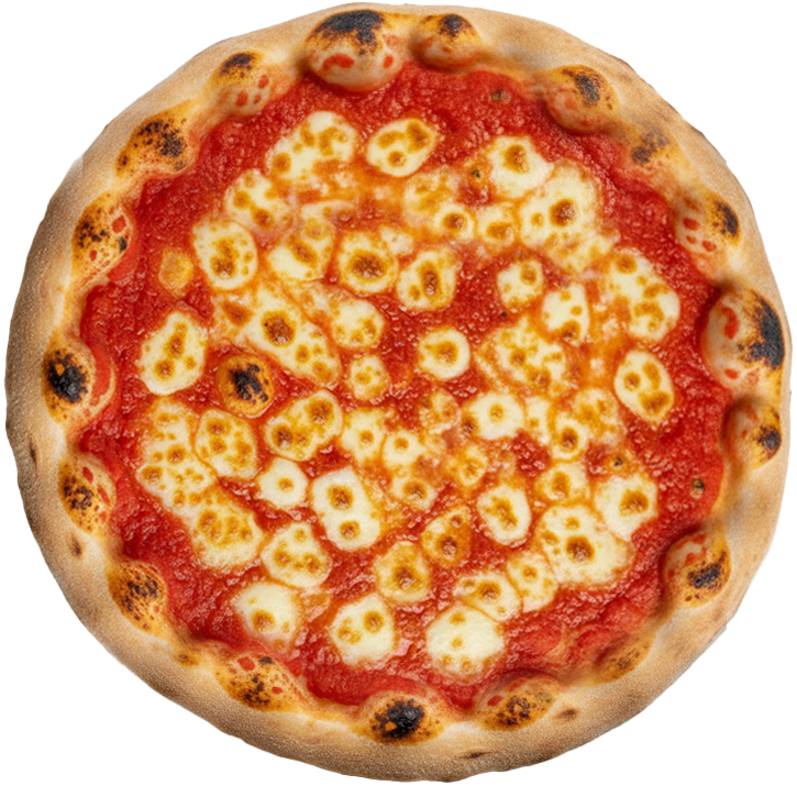 Gemini_Generated_Image_in6xdzin6xdzin6x